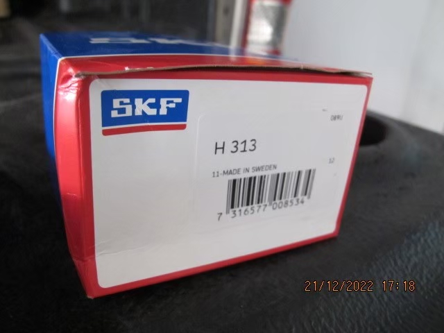 SKF Photo 6
